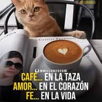 Fausta Castillo - Facebook