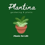 Faustina Agyeman-Duah - @plantina_interiors_exteriors - Instagram