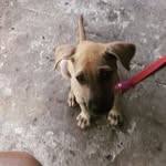 faustina - @faustinaortiz85 - Instagram