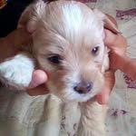 Faustina Ortiz - @faustina.ortiz - Instagram