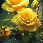 Faustina Perez - @faustina.perez.3785 - Instagram