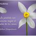 Faustina Perez - Facebook
