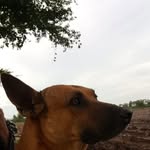 Faustino Aispuro Medina - @faustinoaispuromedina - Instagram