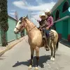 Faustino Cabrera - @faustinocabrera3 - TikTok