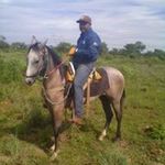Faustino Guzman - @guzman_faustino - Instagram