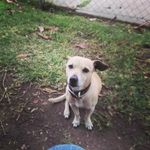 Faustino Jimenez - @faustino.jimenez.7359 - Instagram