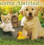 Fausto Jose Armas Salgado - Facebook