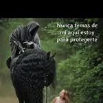 Cacerestato - @fausto.caceres.7549 - Instagram