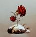 Fausto Campos - Facebook