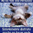 Fausto Carmona Sosa - @carmonafausto - Instagram