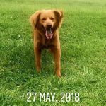 Casas Fausto - @casas_fausto - Instagram