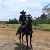 Fausto C L🐎🤠 - @faustocastro440 - TikTok