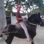 Fausto Castro - @fausto823 - Instagram