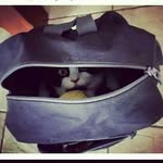 fausto - @faustocedillo25 - Instagram