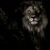 Fausto Cevallos - Facebook