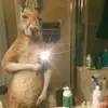 Contreras Fausto - @contreras.fausto - TikTok