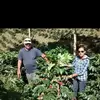 Fausto Cornejo - @fausto.cornejo1 - TikTok