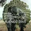 Fausto Corrales - @fausto.corrales6 - TikTok