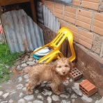 Fausto Crespo - Facebook