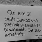 Fausto Cruz - @fausto.cruz.7547 - Instagram