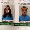 faustoespinal4 - @faustoespinal4 - TikTok