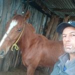 Fausto Fernandez - @fausto.fernandez - Instagram