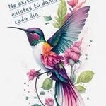 Fausto Galicia - @galiciafausto799 - Instagram