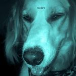 Fausto Gomez - @nefausto.420 - Instagram