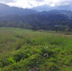 Fausto Jara - Facebook