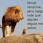 Fausto Leonardo - @fausto.leonardo.144 - Instagram