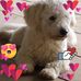 Fausto Luna - Facebook