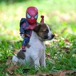 Fausto Marquez - @fausto.marquez.773 - Instagram