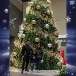 Fausto Montesinos Sánchez - @fausto_montesinos - Instagram