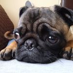 Fausto Navarro - @faustonavarro - Instagram