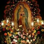 Fausto Olivo - @fausto.olivo.5 - Instagram