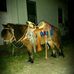 Fausto Padron - Facebook