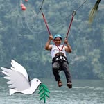 Fausto Palma - @fausto.palma.587 - Instagram