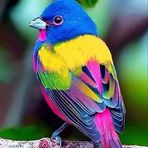 Fausto Palma - Facebook