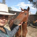 Fausto Palomo Ojeda - Facebook