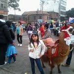 Fausto Pardo Ulloa - @fhcfaustopardoulloa - Instagram