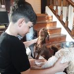 @fausto_pascual13 - Instagram