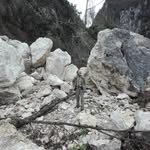 Fausto Pazzaglia - @faustopazzaglia - Instagram