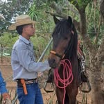 Fausto Ramirez - @faustx_elis - Instagram