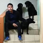Fausto Reyes - @fausto.reyes.7374 - Instagram