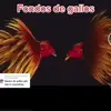 Fausto Robles - @faustorobles476 - TikTok