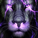 Fausto Rocha - @fausto_rocha567 - Instagram