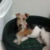 fausto rodas - @fausto.rodas1 - TikTok
