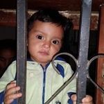 fausto rodas nunez - @faustorodasnunez - Instagram