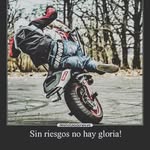 Fausto Rosero - @roserofausto - Instagram