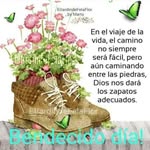 Fausto Sanchez - @fausto.sanchez.125323 - Instagram